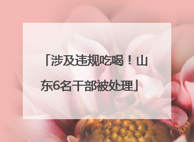 涉及违规吃喝！山东6名干部被处理