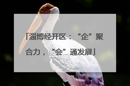 淄博经开区：“企”聚合力，“会”通发展