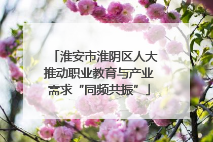 淮安市淮阴区人大推动职业教育与产业需求“同频共振”