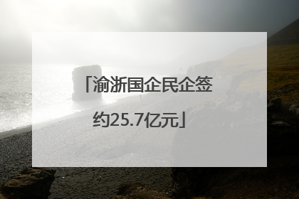 渝浙国企民企签约25.7亿元