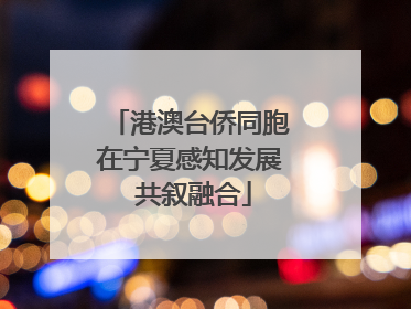 港澳台侨同胞在宁夏感知发展 共叙融合