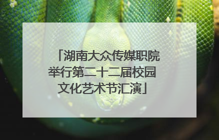 湖南大众传媒职院举行第二十二届校园文化艺术节汇演
