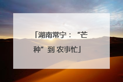 湖南常宁：“芒种”到 农事忙