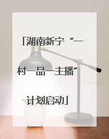 湖南新宁“一村一品一主播”计划启动
