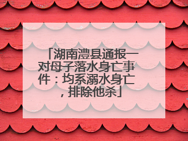 湖南澧县通报一对母子落水身亡事件：均系溺水身亡，排除他杀