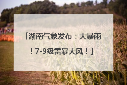 湖南气象发布：大暴雨！7-9级雷暴大风！