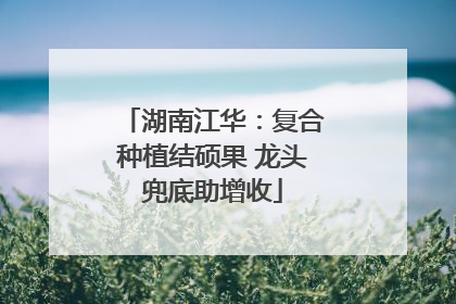 湖南江华：复合种植结硕果 龙头兜底助增收