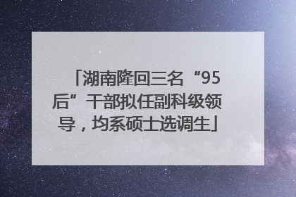 湖南隆回三名“95后”干部拟任副科级领导，均系硕士选调生
