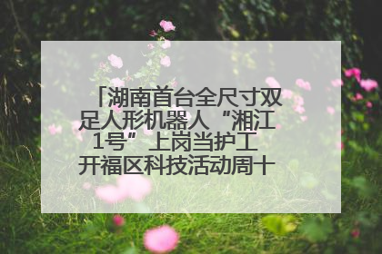 湖南首台全尺寸双足人形机器人“湘江1号”上岗当护工 开福区科技活动周十大科创项目签约