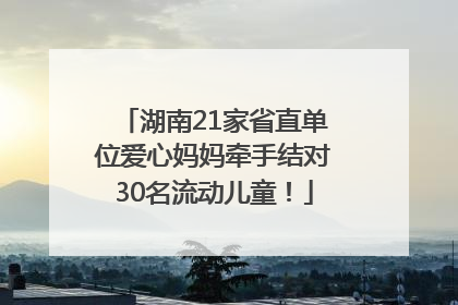 湖南21家省直单位爱心妈妈牵手结对30名流动儿童！