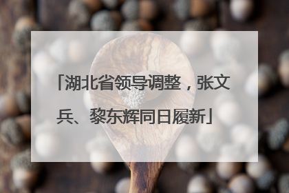 湖北省领导调整，张文兵、黎东辉同日履新