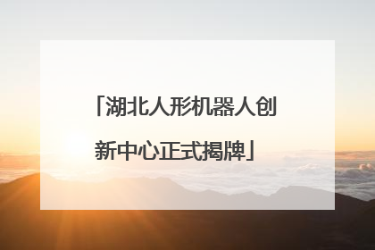 湖北人形机器人创新中心正式揭牌