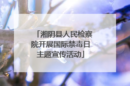 湘阴县人民检察院开展国际禁毒日主题宣传活动