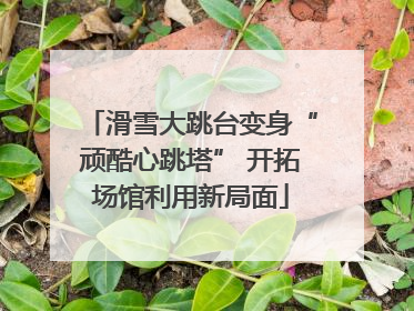 滑雪大跳台变身“顽酷心跳塔” 开拓场馆利用新局面