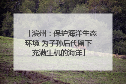 滨州：保护海洋生态环境 为子孙后代留下充满生机的海洋