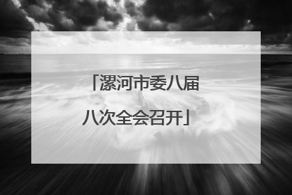 漯河市委八届八次全会召开
