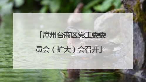 漳州台商区党工委委员会（扩大）会召开