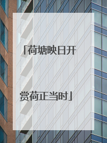 荷塘映日开 赏荷正当时