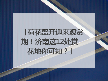 荷花盛开迎来观赏期！济南这12处赏花地你可知？