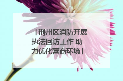 荆州区消防开展执法回访工作 助力优化营商环境