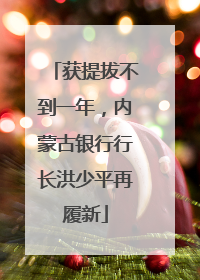 获提拔不到一年，内蒙古银行行长洪少平再履新