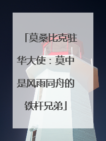 莫桑比克驻华大使：莫中是风雨同舟的铁杆兄弟