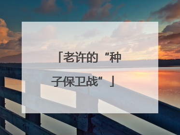 老许的“种子保卫战”