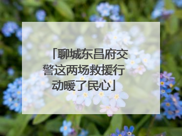 聊城东昌府交警这两场救援行动暖了民心