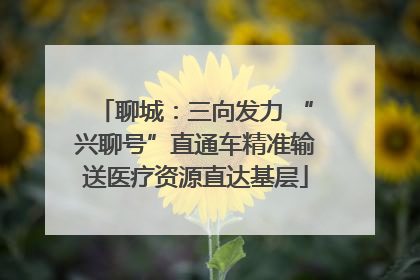 聊城：三向发力 “兴聊号”直通车精准输送医疗资源直达基层