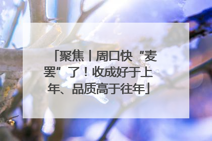聚焦丨周口快“麦罢”了！收成好于上年、品质高于往年