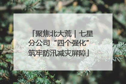 聚焦北大荒｜七星分公司“四个强化”筑牢防汛减灾屏障