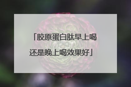 胶原蛋白肽早上喝还是晚上喝效果好