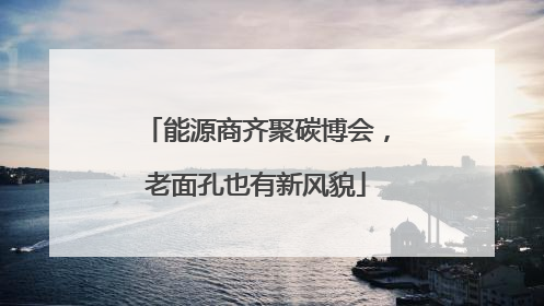能源商齐聚碳博会，老面孔也有新风貌