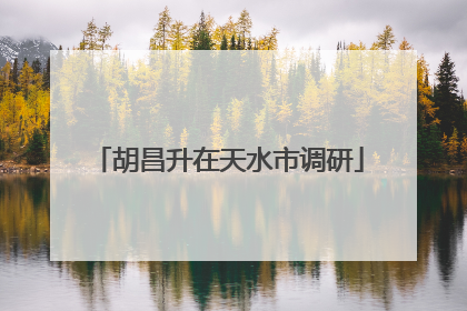 胡昌升在天水市调研