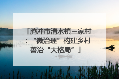 腾冲市清水镇三家村：“微治理”构建乡村善治“大格局”