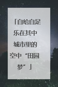 自给自足 乐在其中 城市里的空中“田园梦”