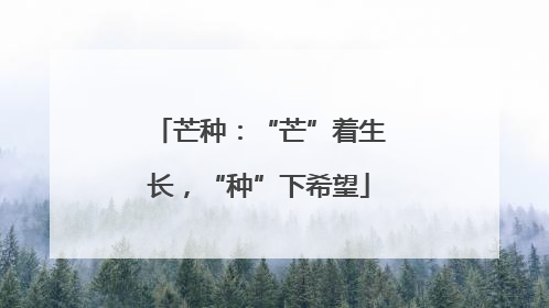 芒种：“芒”着生长，“种”下希望