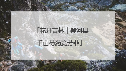 花开吉林｜柳河县千亩芍药竞芳菲