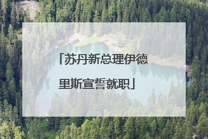 苏丹新总理伊德里斯宣誓就职