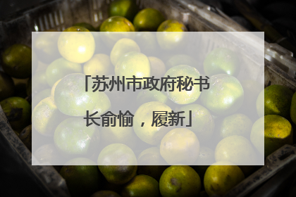 苏州市政府秘书长俞愉，履新
