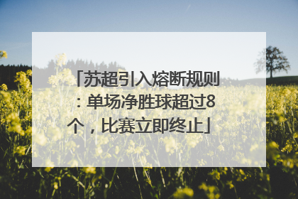 苏超引入熔断规则：单场净胜球超过8个，比赛立即终止