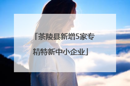 茶陵县新增5家专精特新中小企业