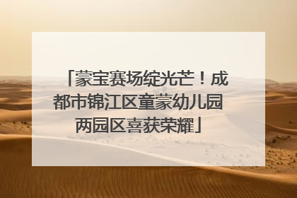 蒙宝赛场绽光芒！成都市锦江区童蒙幼儿园两园区喜获荣耀
