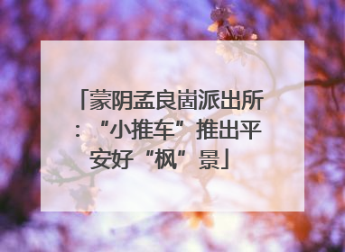 蒙阴孟良崮派出所：“小推车”推出平安好“枫”景