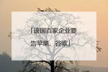 该国百家企业要告苹果、谷歌