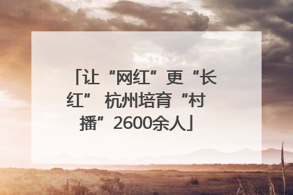 让“网红”更“长红” 杭州培育“村播”2600余人