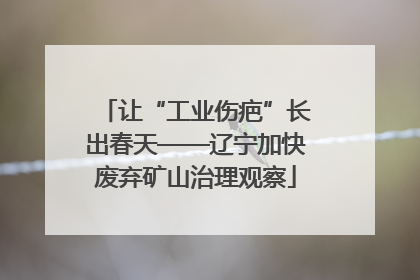 让“工业伤疤”长出春天——辽宁加快废弃矿山治理观察
