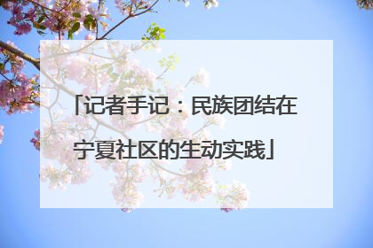 记者手记：民族团结在宁夏社区的生动实践