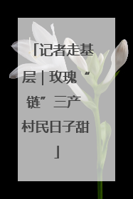 记者走基层｜玫瑰“链”三产 村民日子甜