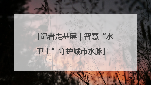 记者走基层｜智慧“水卫士”守护城市水脉